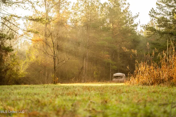 $463,600 | Newton Caney Creek Road, Decatur, MS 39327