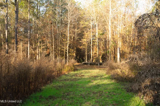 $463,600 | Newton Caney Creek Road, Decatur, MS 39327