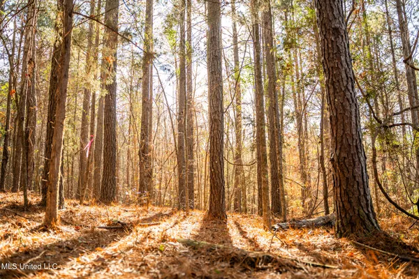 $463,600 | Newton Caney Creek Road, Decatur, MS 39327