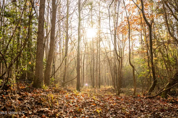 $463,600 | Newton Caney Creek Road, Decatur, MS 39327