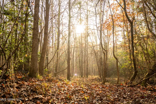 $463,600 | Newton Caney Creek Road, Decatur, MS 39327