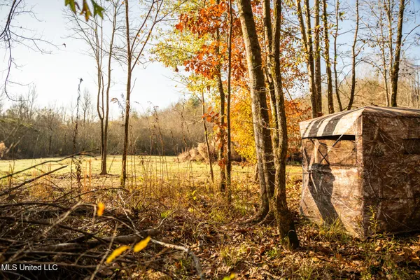 $463,600 | Newton Caney Creek Road, Decatur, MS 39327