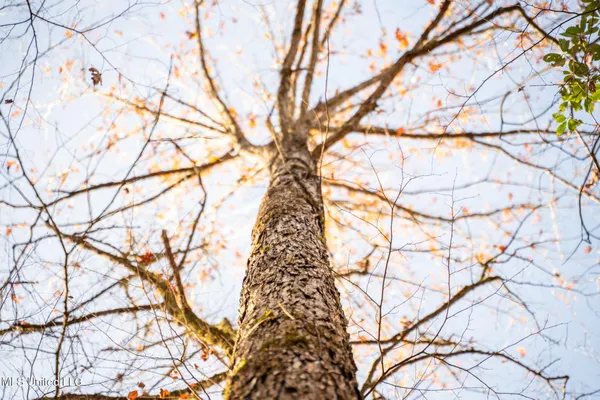 $463,600 | Newton Caney Creek Road, Decatur, MS 39327