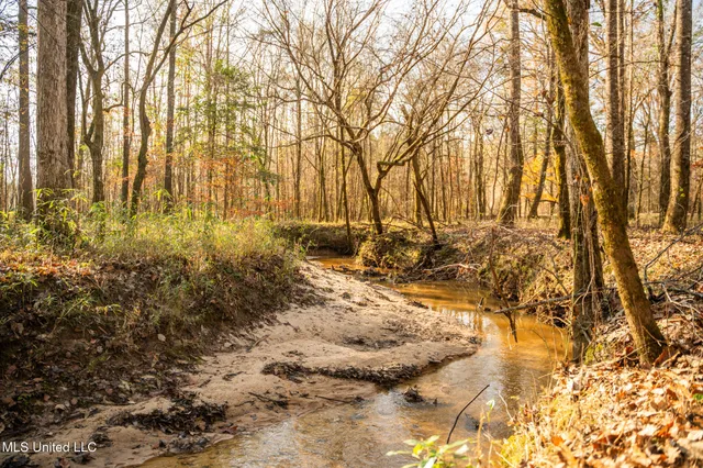 $463,600 | Newton Caney Creek Road, Decatur, MS 39327