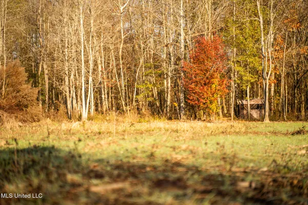 $463,600 | Newton Caney Creek Road, Decatur, MS 39327