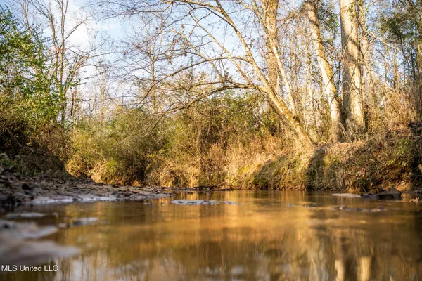 $463,600 | Newton Caney Creek Road, Decatur, MS 39327