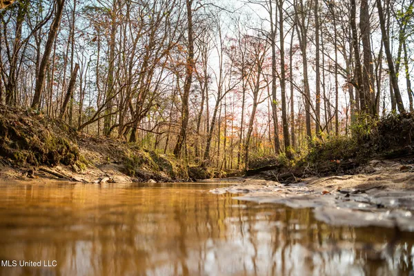 $463,600 | Newton Caney Creek Road, Decatur, MS 39327