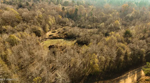 $463,600 | Newton Caney Creek Road, Decatur, MS 39327