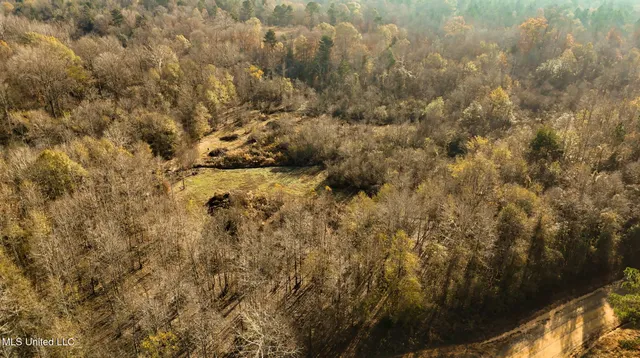 $463,600 | Newton Caney Creek Road, Decatur, MS 39327