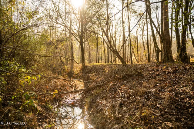 $463,600 | Newton Caney Creek Road, Decatur, MS 39327