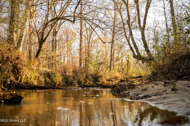 $463,600 | Newton Caney Creek Road, Decatur, MS 39327