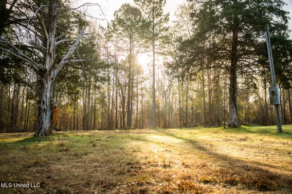 $463,600 | Newton Caney Creek Road, Decatur, MS 39327