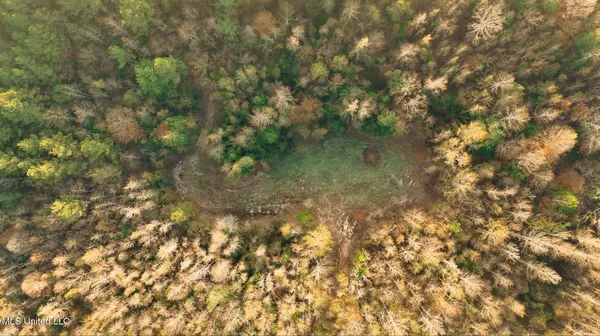 $463,600 | Newton Caney Creek Road, Decatur, MS 39327