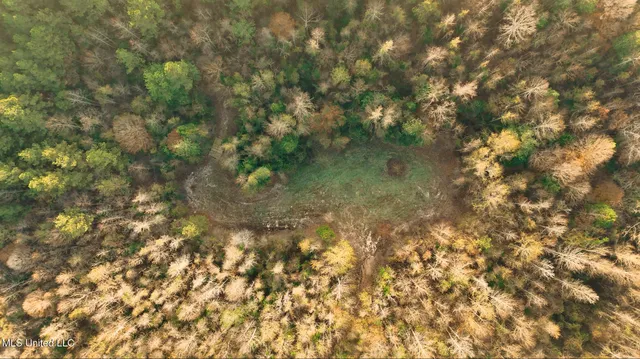 $463,600 | Newton Caney Creek Road, Decatur, MS 39327