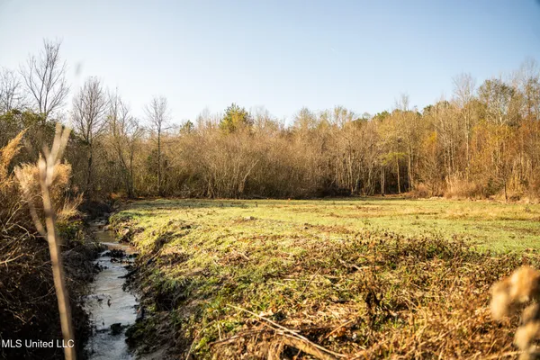 $463,600 | Newton Caney Creek Road, Decatur, MS 39327