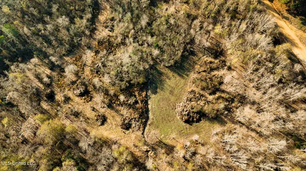 $463,600 | Newton Caney Creek Road, Decatur, MS 39327