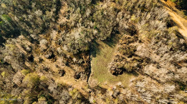 $463,600 | Newton Caney Creek Road, Decatur, MS 39327