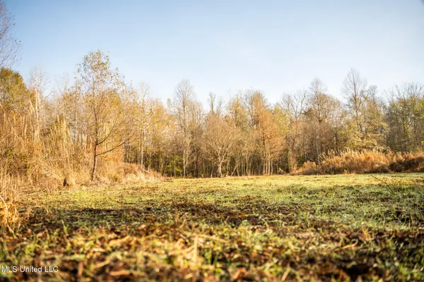 $463,600 | Newton Caney Creek Road, Decatur, MS 39327