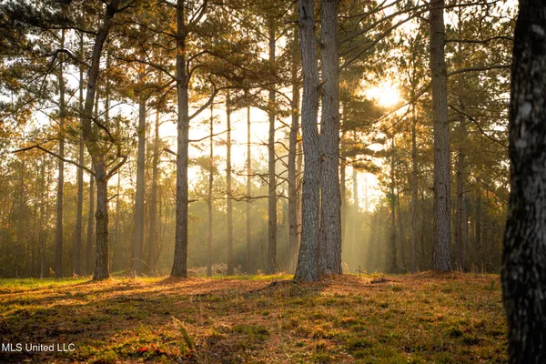 $463,600 | Newton Caney Creek Road, Decatur, MS 39327