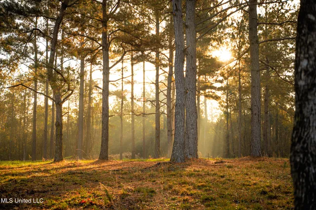 $463,600 | Newton Caney Creek Road, Decatur, MS 39327