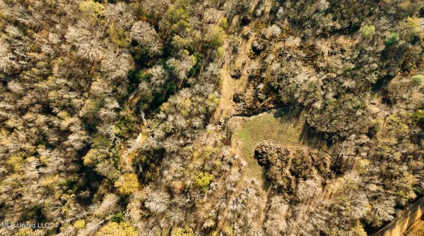 $463,600 | Newton Caney Creek Road, Decatur, MS 39327