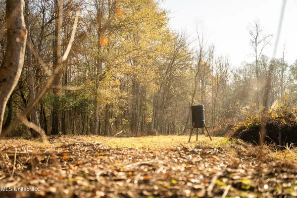 $463,600 | Newton Caney Creek Road, Decatur, MS 39327