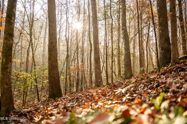 $463,600 | Newton Caney Creek Road, Decatur, MS 39327