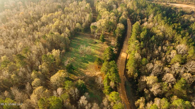 $463,600 | Newton Caney Creek Road, Decatur, MS 39327