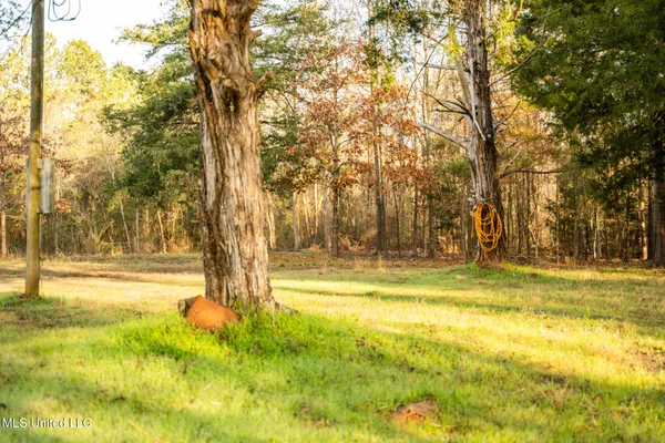 $463,600 | Newton Caney Creek Road, Decatur, MS 39327