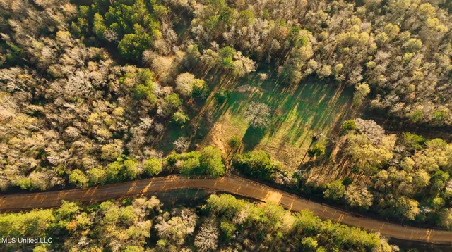 $463,600 | Newton Caney Creek Road, Decatur, MS 39327