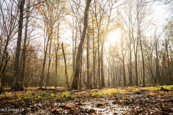 $463,600 | Newton Caney Creek Road, Decatur, MS 39327