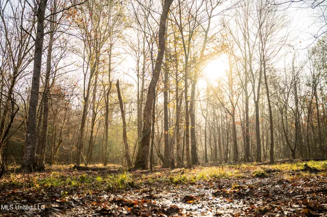 $463,600 | Newton Caney Creek Road, Decatur, MS 39327