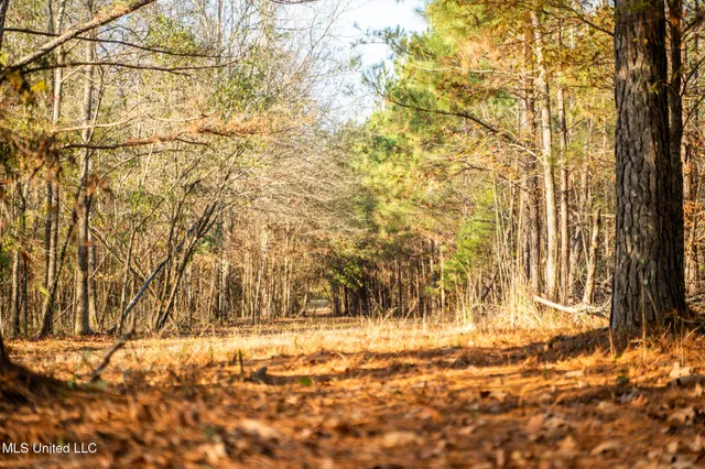 $463,600 | Newton Caney Creek Road, Decatur, MS 39327
