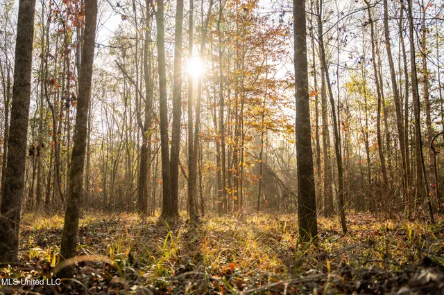 $463,600 | Newton Caney Creek Road, Decatur, MS 39327