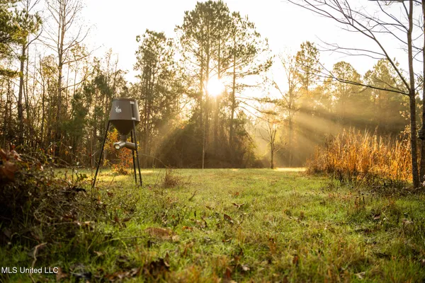 $463,600 | Newton Caney Creek Road, Decatur, MS 39327