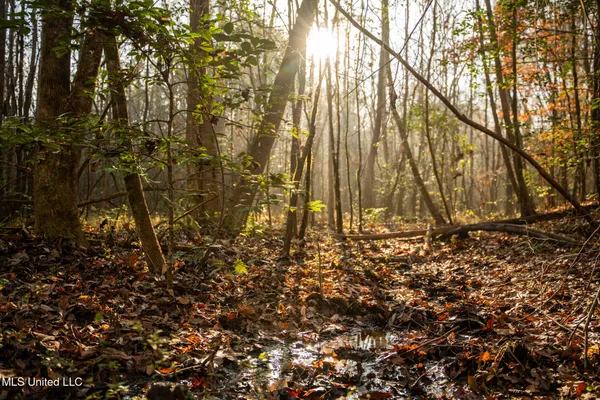 $463,600 | Newton Caney Creek Road, Decatur, MS 39327