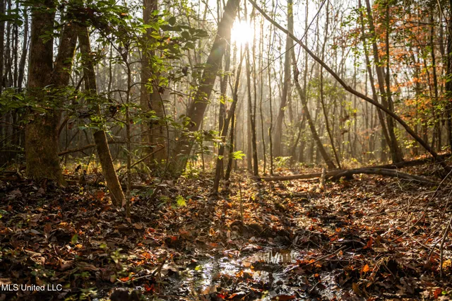 $463,600 | Newton Caney Creek Road, Decatur, MS 39327