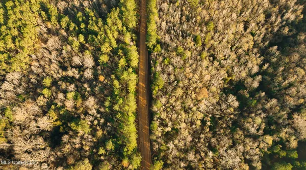 $463,600 | Newton Caney Creek Road, Decatur, MS 39327