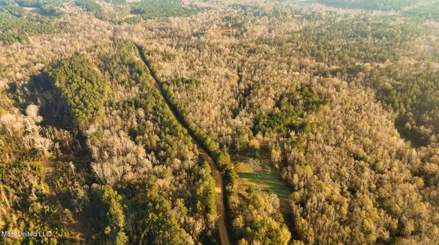 $463,600 | Newton Caney Creek Road, Decatur, MS 39327