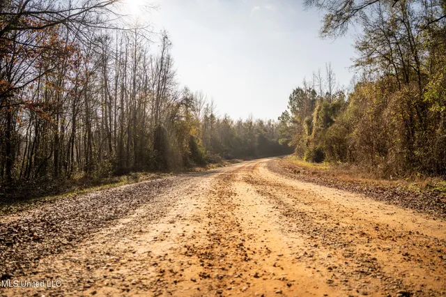 $463,600 | Newton Caney Creek Road, Decatur, MS 39327