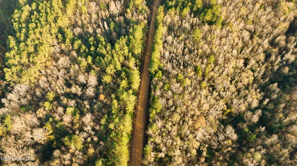 $463,600 | Newton Caney Creek Road, Decatur, MS 39327