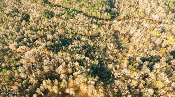 $463,600 | Newton Caney Creek Road, Decatur, MS 39327