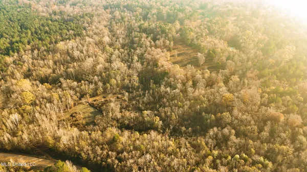 $463,600 | Newton Caney Creek Road, Decatur, MS 39327