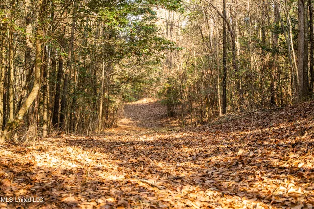 $463,600 | Newton Caney Creek Road, Decatur, MS 39327