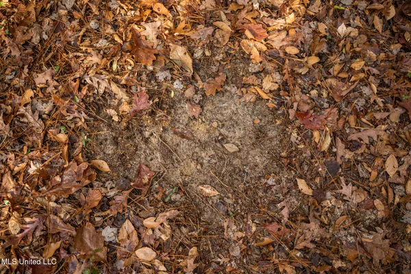 $463,600 | Newton Caney Creek Road, Decatur, MS 39327