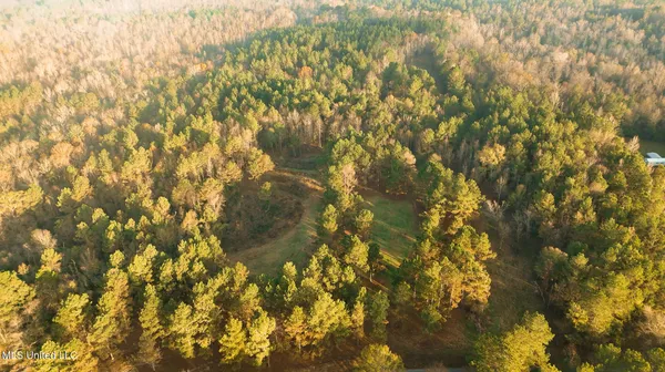 $463,600 | Newton Caney Creek Road, Decatur, MS 39327