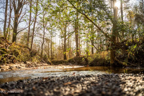 $463,600 | Newton Caney Creek Road, Decatur, MS 39327