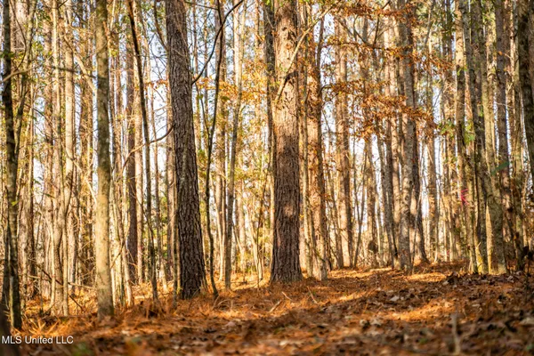 $463,600 | Newton Caney Creek Road, Decatur, MS 39327