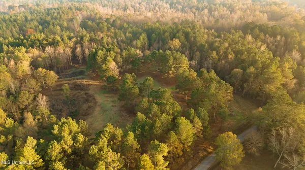 $463,600 | Newton Caney Creek Road, Decatur, MS 39327