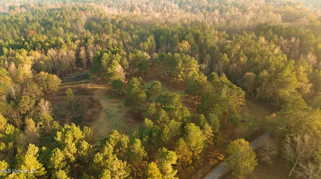 $463,600 | Newton Caney Creek Road, Decatur, MS 39327